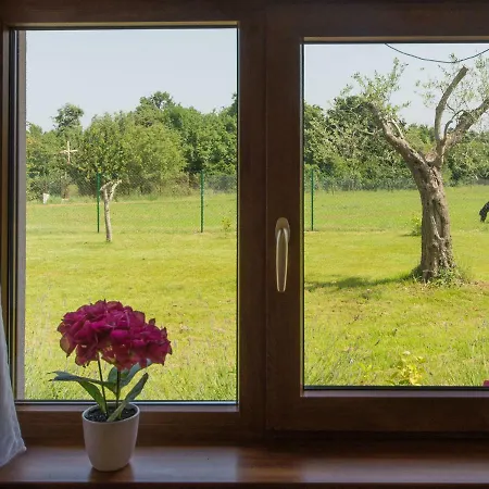 Attractive With Pool Bubble Bath Patio Courtyard Holiday home Barbariga